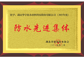 防水先进整体